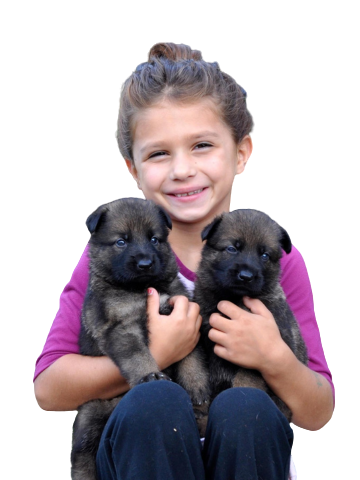 puppies with a girl in purple shirt.png__PID:1285dade-a160-43d2-a966-c2e1fb8dabe8