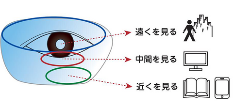 遠近両用メガネ販売中！ – 武田メガネオンラインショップ