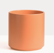 Load image into Gallery viewer, P+P Ceramic Cylinder Planter
