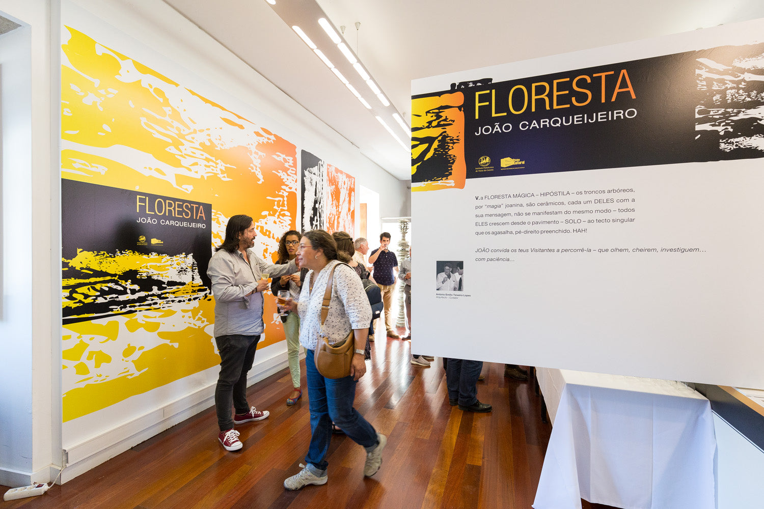 João Carqueijeiro Solo Exhibition 'Floresta' at IPVC