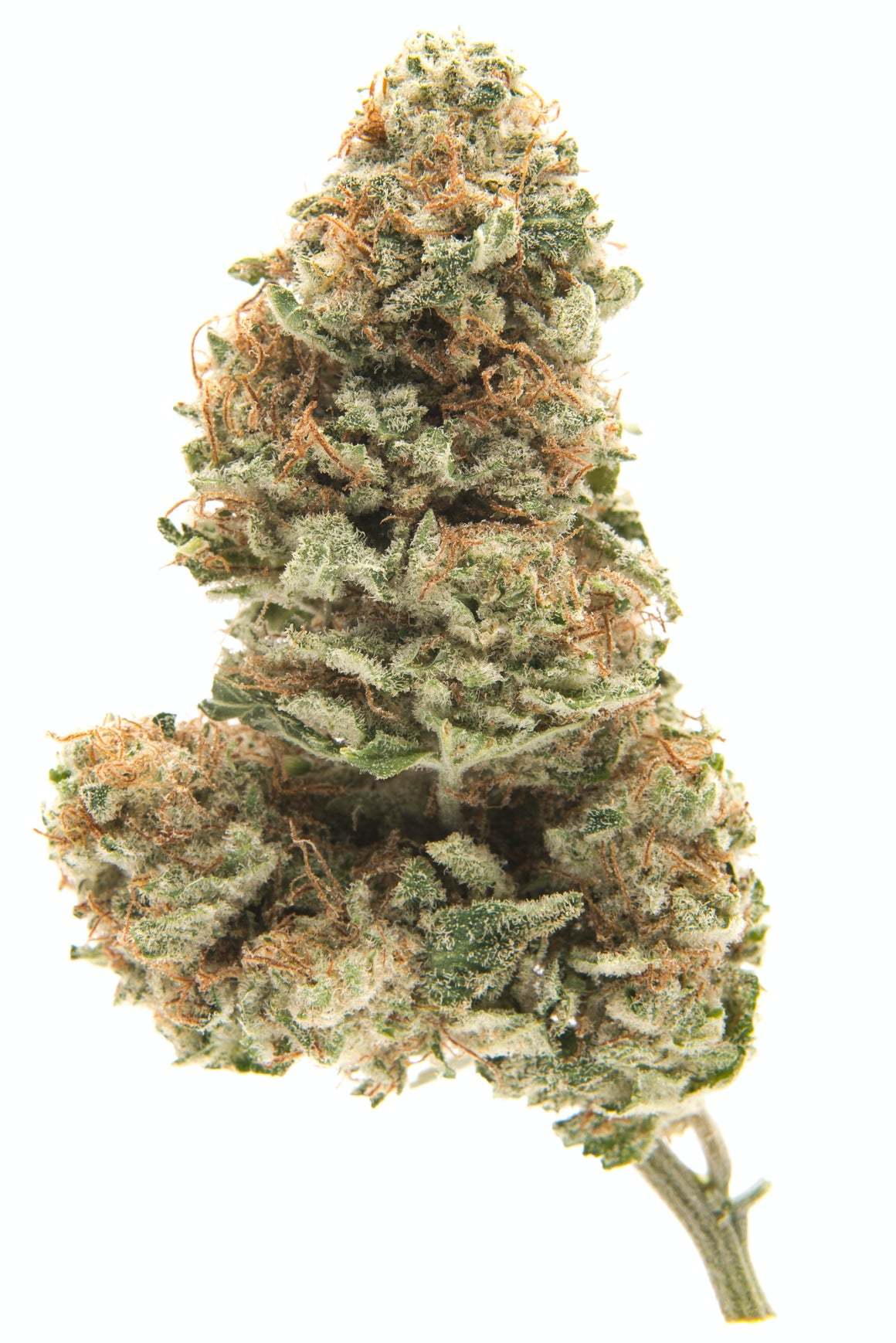 bubble gum strain price