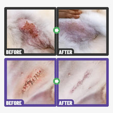 Load image into Gallery viewer, HICC Groom! Wound &amp; Antimicrobial Spray for Cats &amp; Dogs 10.1 oz.

