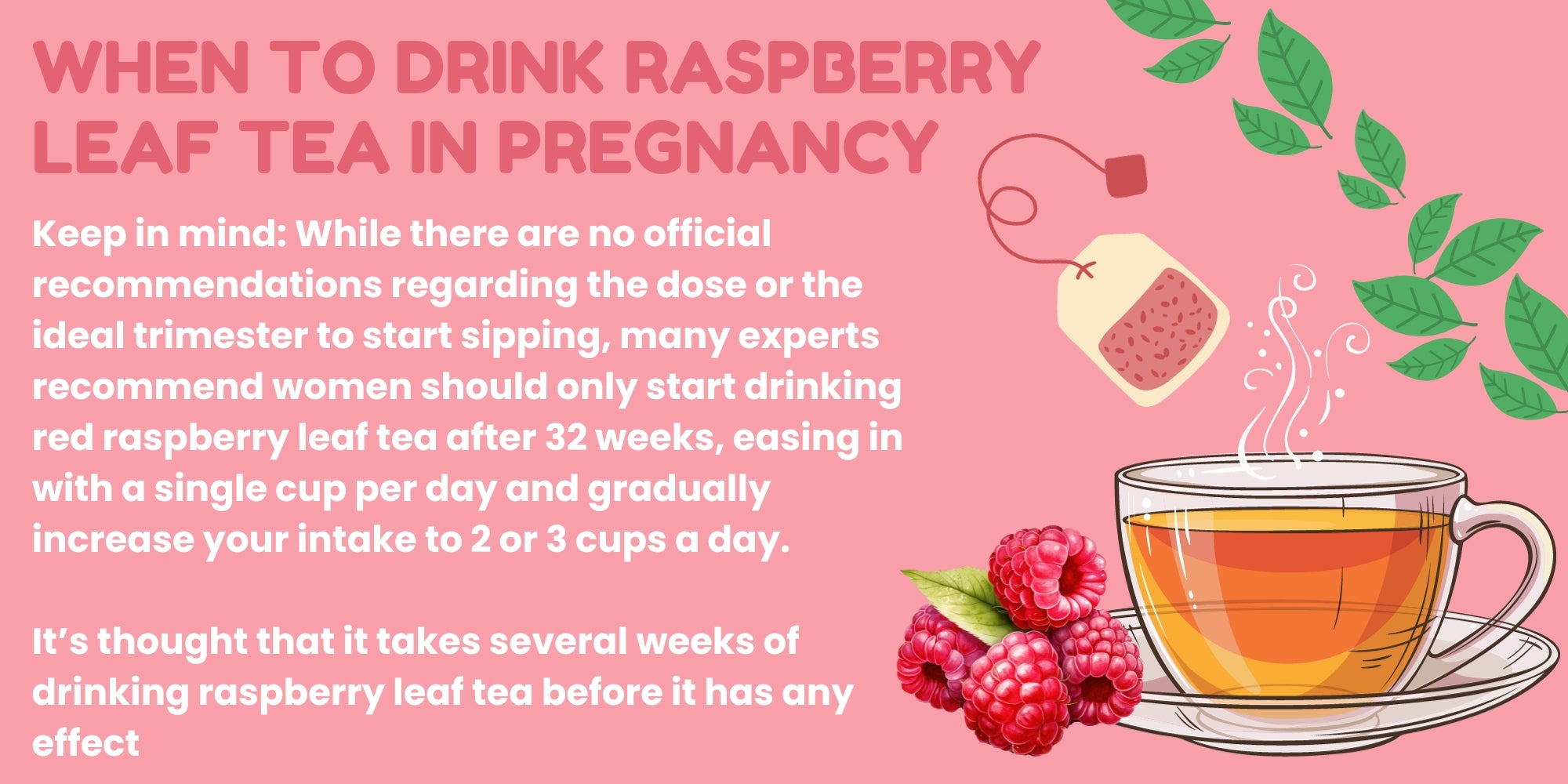 When to drink raspberry leaf tea in pregnancy