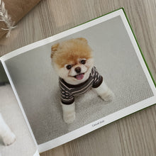 Load image into Gallery viewer, Add to Wishlist Boo: The Life of the World&#39;s Cutest Do
