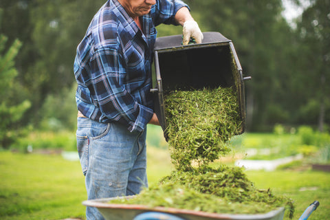 mowings cuts into compost pile