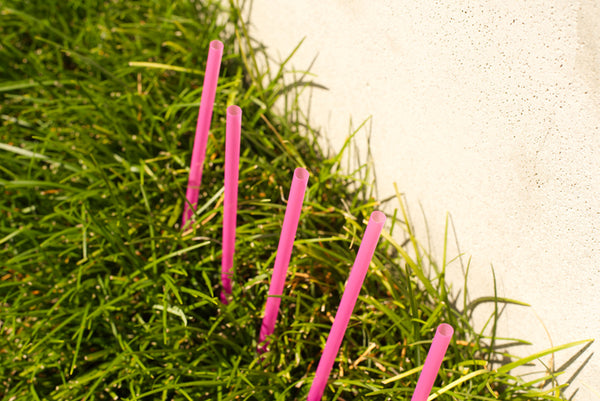 Plastic straws in grass