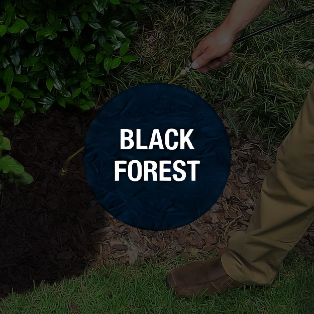 Black Forest