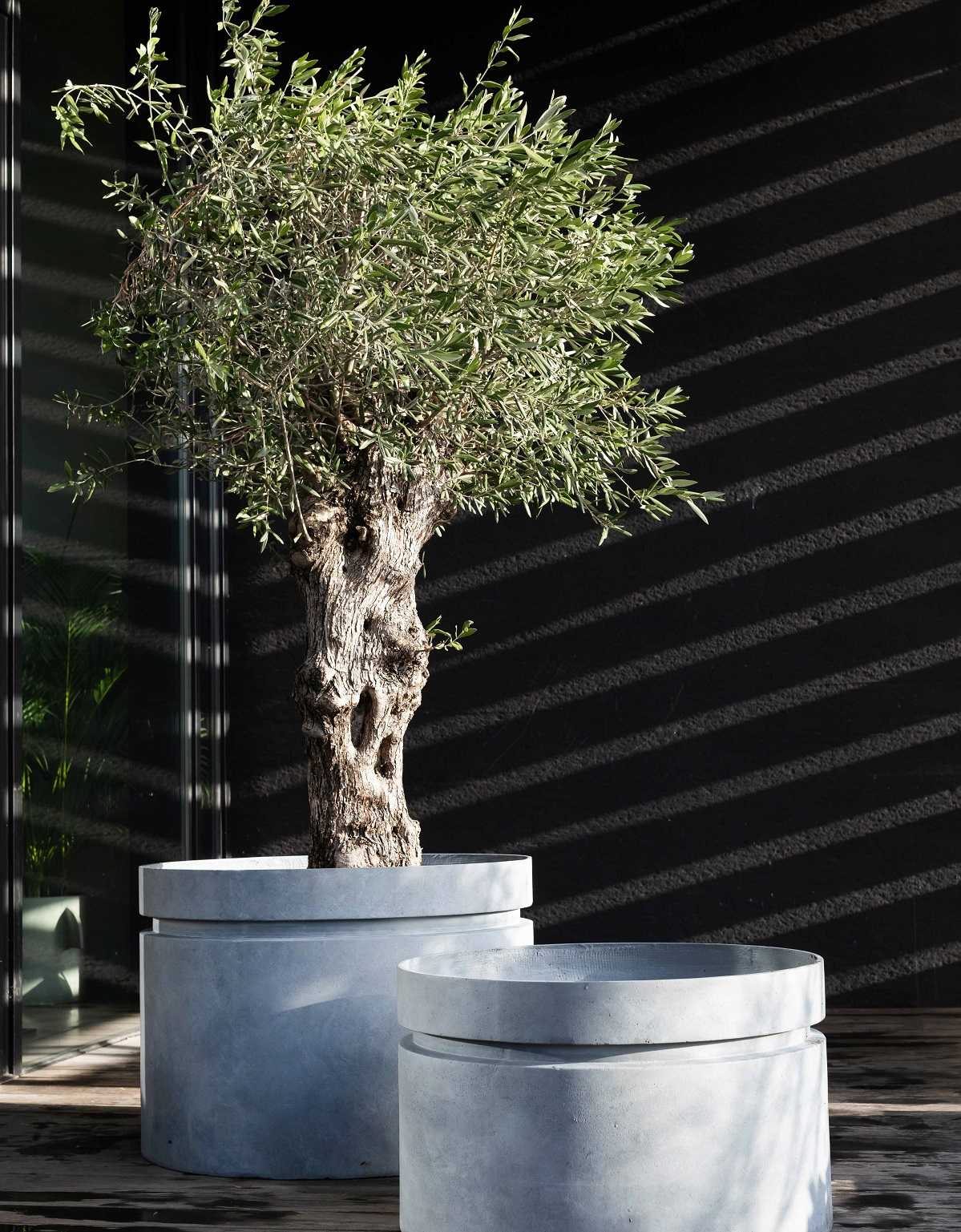 Serax Planters