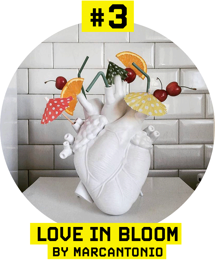 Love in bloom Seletti gift idea
