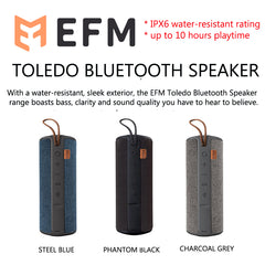 efm toledo bluetooth speaker price