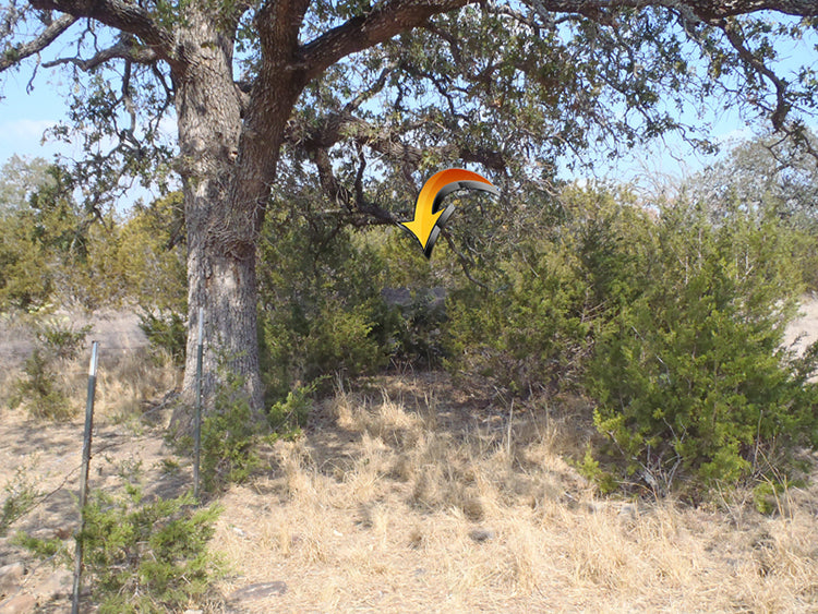 a decoy in a bush