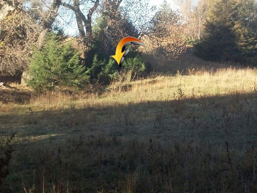 an arrow pointing to the position of a ground blind in a field next to a bush
