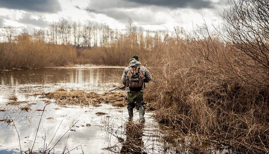 hunter in swampy water