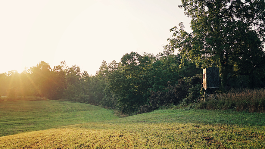 hunting field