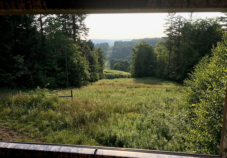view from inside blind