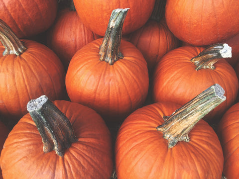 Pumpkins and collagen for animals