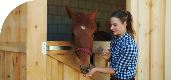 Role of Collagen in Animals