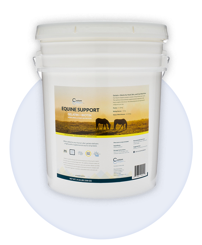 The Best Coat And Hoof Supplement For Your Horse - Budget Equestrian