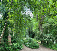 Abney Park, London