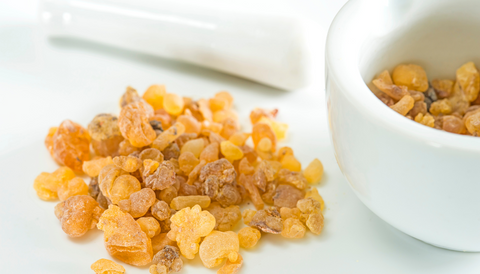 boswellia for dogs and cats