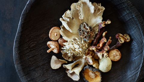 medicinal mushroom health benefits