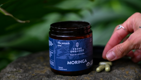 moringa for weight loss capsules - tribe organics