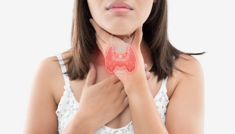 what does ashwagandha do for the thyroid