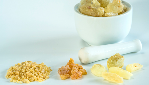 boswellia interactions with other medications - tribe organics
