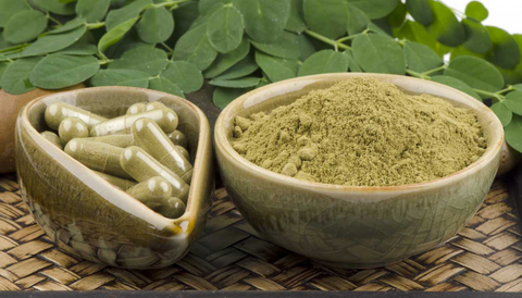 3 reasons to add moringa to a weight loss regimen - tribe organics