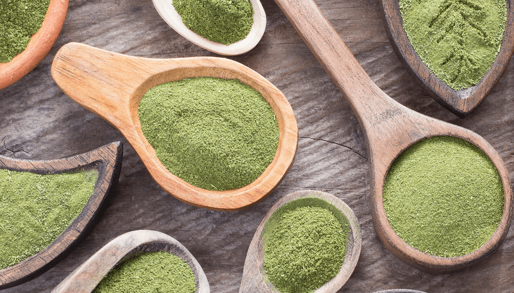 What is Moringa Powder