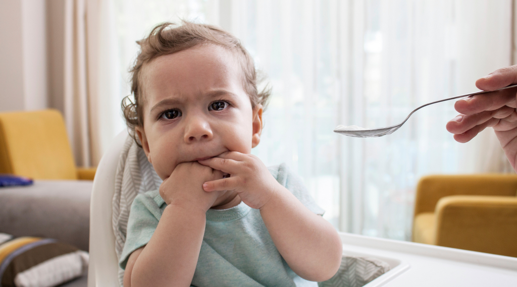 Baby in a highchair with both hands in mouth refusing food. Adult hand is shown to the left with a spoon coming in to feed the baby.