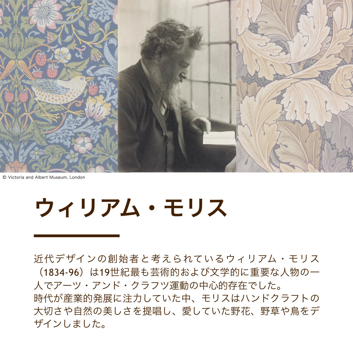 ロマンス小杉 羽毛肌掛け布団 シングル ホワイトダウン85％ いちご泥棒 V＆A 増量0.5kg 日本製 52883 ピンク10 シングル 布団