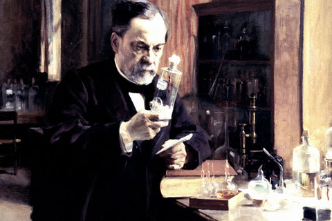 Monsieur Pasteur, la fermentación