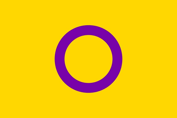 A photo of the yellow and purple intersex pride flag, a variation of the general gay pride flag.