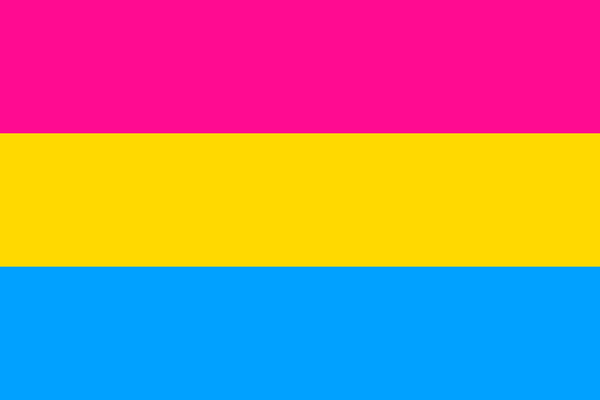 A photo of the pink, yellow and blue pansexual pride flag.