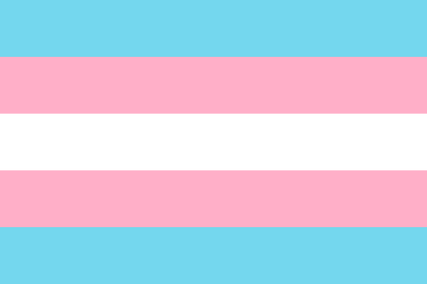 A photo of the blue, pink and white transgender pride flag