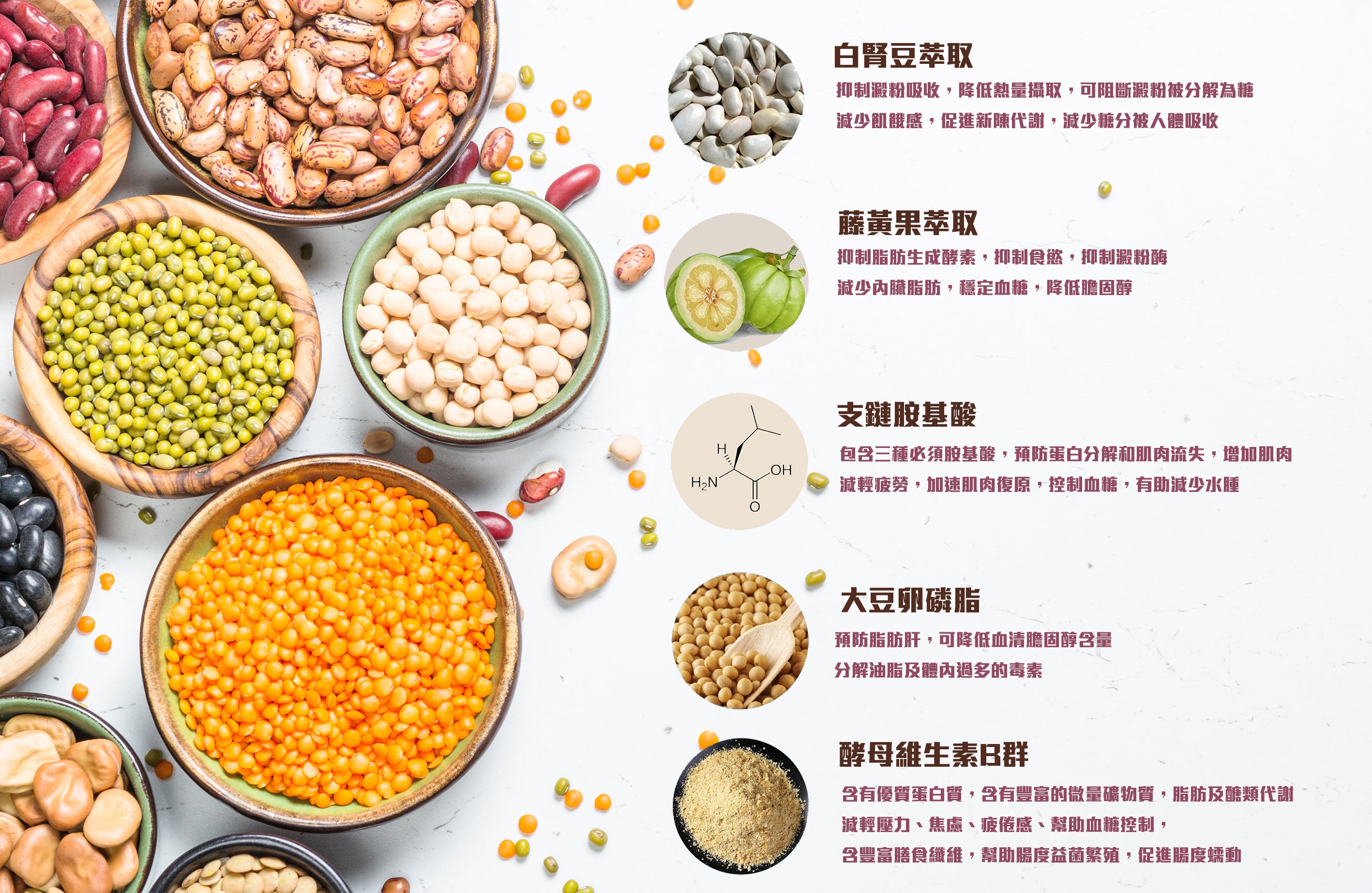 Shaurmi 代餐, SHAURMI代餐, , 伯爵代餐, 金盞花代餐, lunasin cocoa 可可代餐, lunasin cocoa 朱古力代餐, lunasincocoa, hyalumatcha, hyalu matcha, lunasin cocoa, 綠茶代餐，抹茶代餐，口服玻尿酸