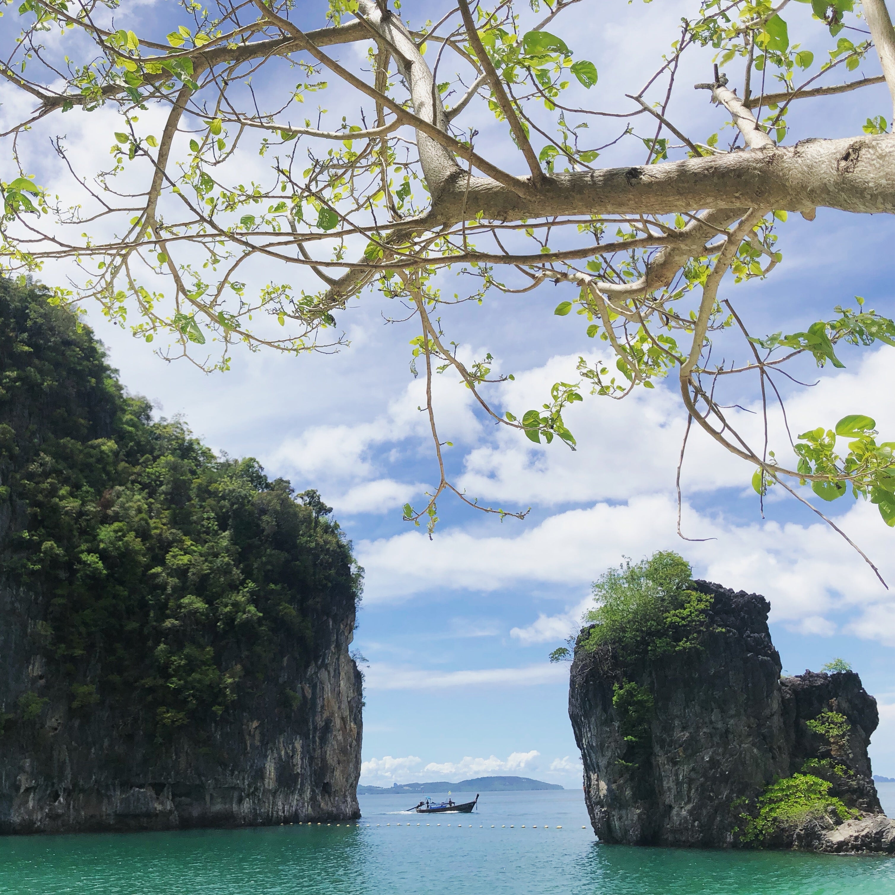 Beach, Thailand, Krabi, Coco de Chom, Coco de Chom?