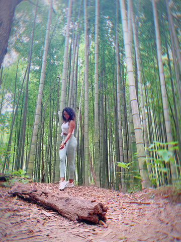 Bamboo Forest Georgia