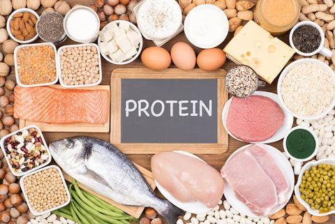 Protein can help reduce weight gain