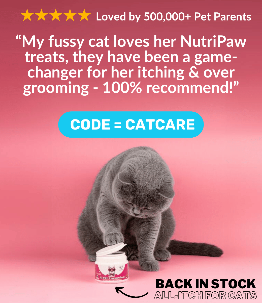 Website Banner Mobile (1040 × 1200px) (8).png__PID:08567eee-7b1d-406f-9c92-60ff70a6a199
