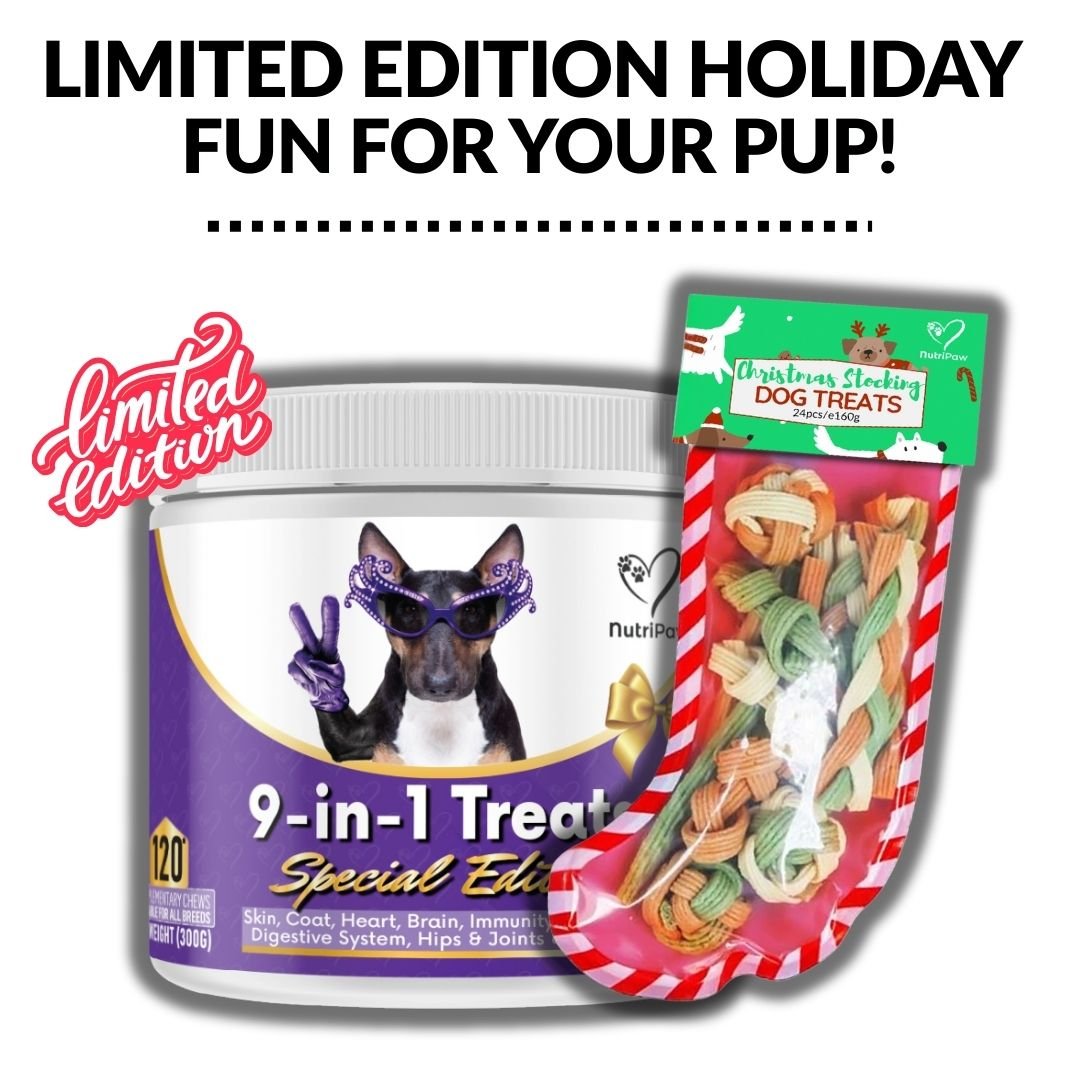 christmas-special-bundle-527949.jpg__PID:44b291c7-1f32-45ae-9334-e8b59dcc0c3b
