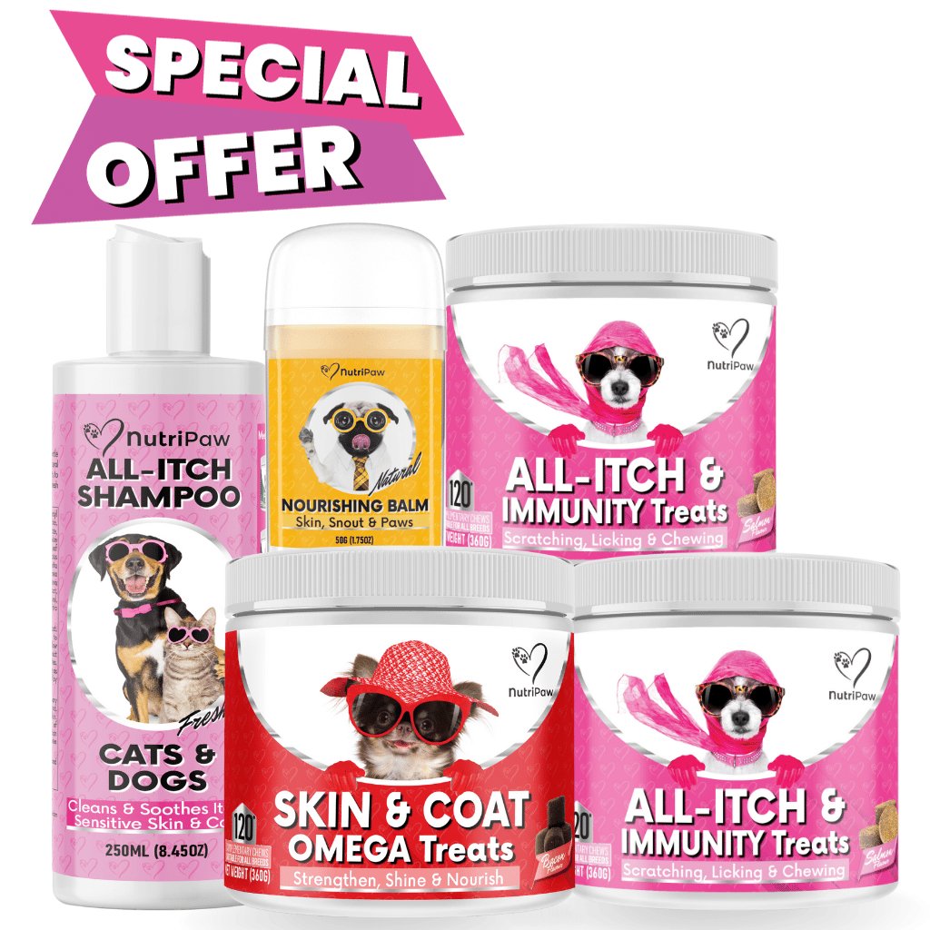 Ultimate Itchy Dog Pack - NutriPaw product image