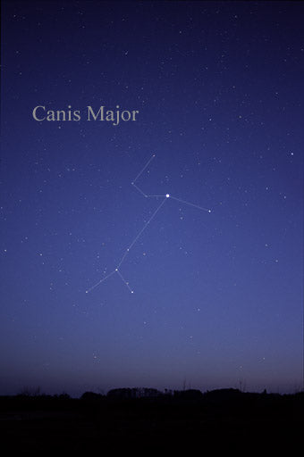 Canis Major Constellation