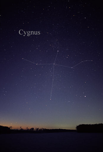 Cygnus Constellation