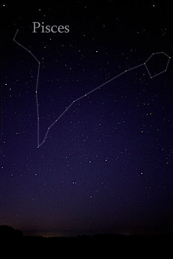 Pisces Constellation