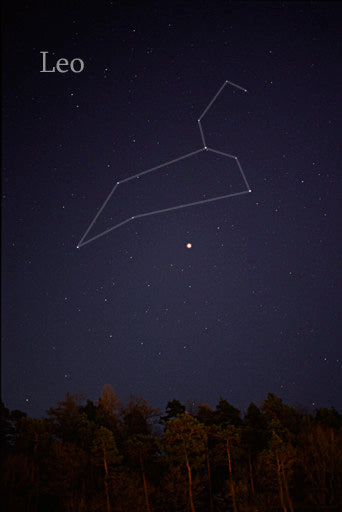 Leo Constellation