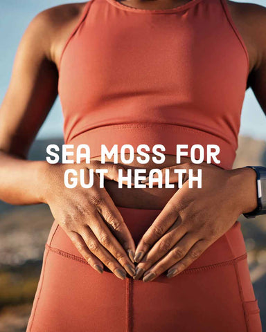Sea moss for gut health