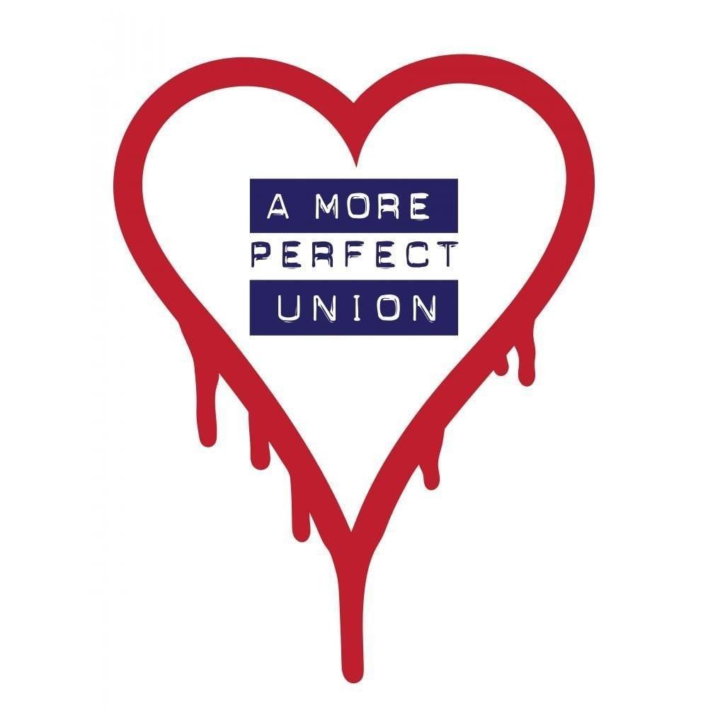 A More Perfect Union 2 by Mark Forton Creative Action Network