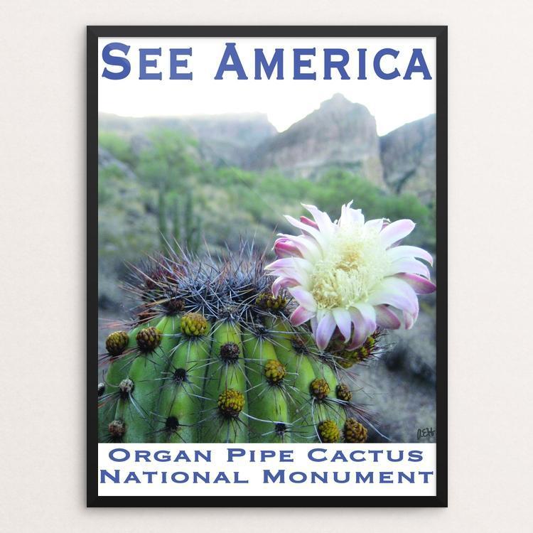 Lam Mijnwerker doos Organ Pipe Cactus National Monument by Ann Huston Creative Action Netw -  Creative Action Network